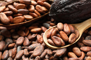 Wooden spoon and pods on cocoa beans, closeup