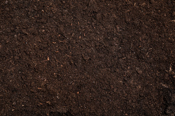 Fresh soil for gardening as background, top view