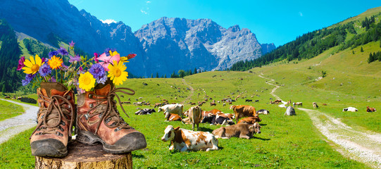 Wanderschuhe mit Blumen in schöner bayerischer Landschaft