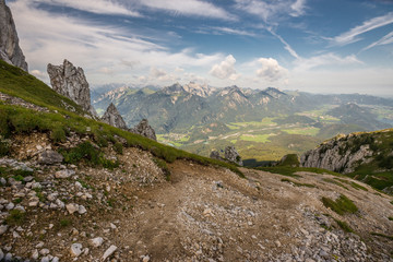 Naklejka premium Säuling