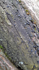 Wood. Old rotten wood. Vintage cracked wood. Weathered surface. Vintage background