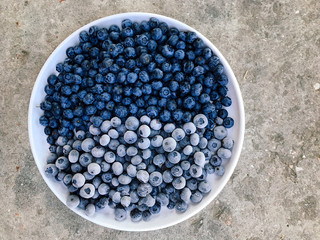 Fresh and frozen blueberries on a round white dish. Natural and healthy food close up.