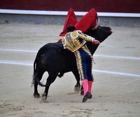 Obraz premium bullfight in spain