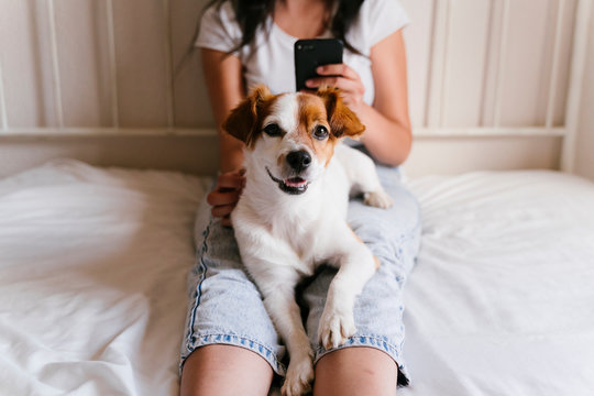 young caucasian woman on bed using mobile phone. Cute small dog lying besides. Love for animals and technology concept. Lifestyle indoors