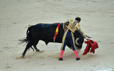 bullfight in spain