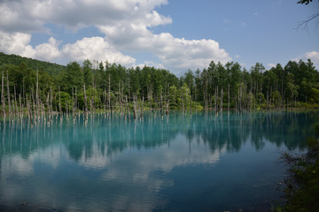 日本の北海道美瑛町の青い池