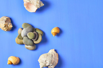 Heap of gravel stones near seashells scattered on blue scratched concrete. Space for text