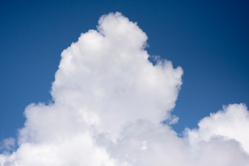 Obraz premium Thick white cloud on blue sky background.