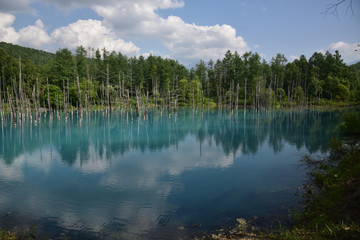日本の北海道美瑛町の青い池
