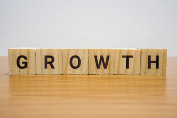 Growth Word on Wooden Block