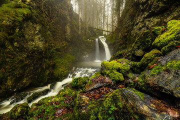 Black forest waterfall