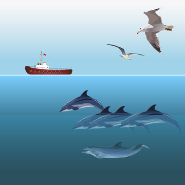 Dolphins swimming vector