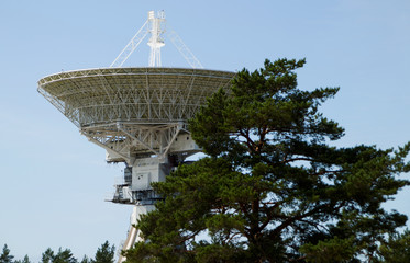 white radio telescope behind a tree against the sky