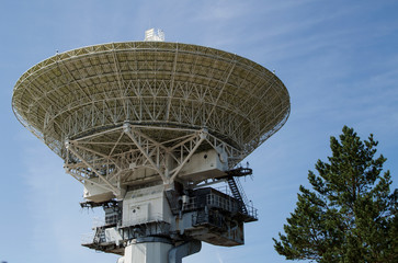 white radio telescope behind a tree against the sky
