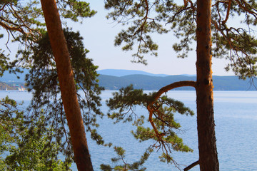 Beautiful view of the lake and mountains through the pine trees. Background. Landscape.