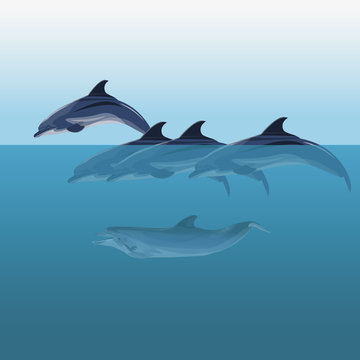 Flock dolphins vector