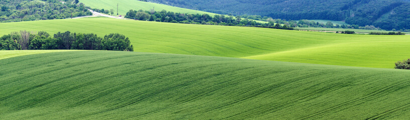 Panoramic view of Moravia fields