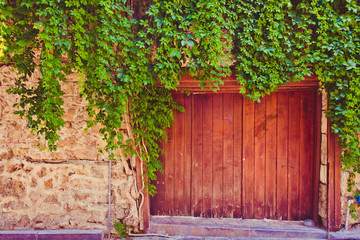 Gates from wooden boards overgrown with plants. The gates serve as a passage to a closed area....