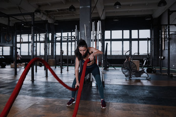 Naklejka na ściany i meble Fit woman using battle ropes during strength training at the gym.