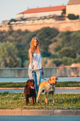 Beautiful girl walking two dogs outdoor