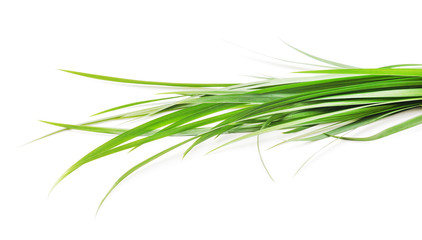 Bunch of green grass.