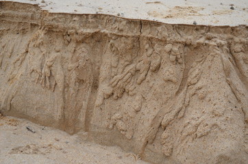 Areias