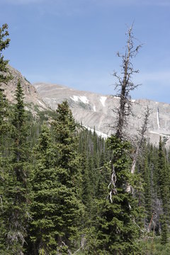 Rocky Mountains 