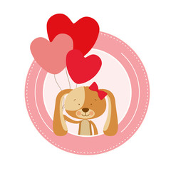 cute puppy with helium balloons