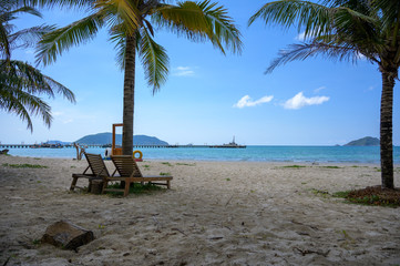deckchairs on the beach between palm trees on Con Dao in Vietnam