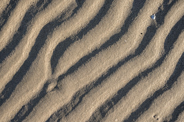sand on the beach