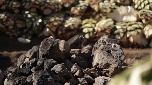 Horno para agave espad&iacute;n