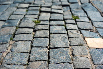 Vintage pavement with grass