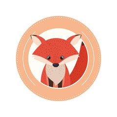 cute and adorable fox with circular frame