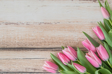 Pink tulips flat lay seen from above