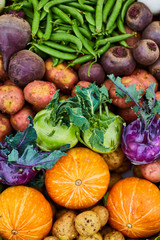 Fresh farm vegetables close-up. Potatoes, turnips, pumpkin