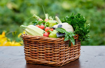 Basket full of Harvest Organic Vegetables and Root in a Garden. Autumn Vegetable Harvest