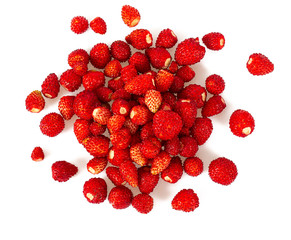 wild strawberries isolated on white