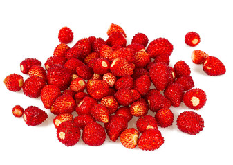 wild strawberries isolated on white