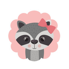 cute and adorable raccoon with frame