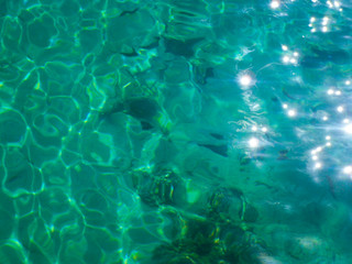 Blue sea water surface. Blue liquid reflections photo wallpaper. Still rippled water of seashore. Natural water in sea with fish. Seawater texture