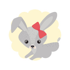 cute and adorable bunny with frame