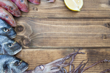 Fresh seafood on wooden background