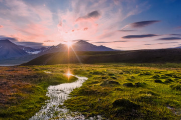 Wallpaper noorwegen landschap natuur van de bergen van Spitsbergen Longyearbyen Svalbard op een pooldag van bloemen met de arctische zomer in de zonsondergang