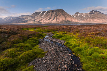Wallpaper norway landscape nature of the mountains of Spitsbergen Longyearbyen Svalbard   on a flowers polar day with arctic summer in the sunset 