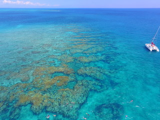 Key West Coral Reef