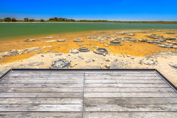 Australian landscape of Stromatolites at Lake Thetis, a saline coastal lake in Cervantes, Western...