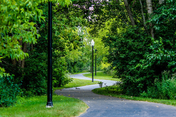 path in park