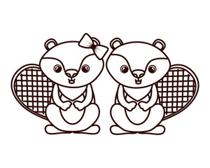 cute couple of chipmunk on white background