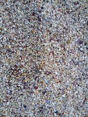 Concrete Peeble Floor
