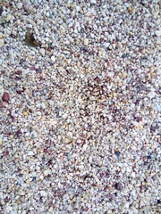 Concrete Peeble Floor